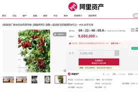 广州永庆坊私宅2折起拍，410㎡别墅起拍价968万元图片