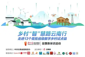 乡村“智”慧路云南行丨一枚凤庆核桃的数字化之旅图片