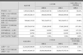 吉林敖东：2023年上半年净利润10.63亿元 同比增长114.94%图片