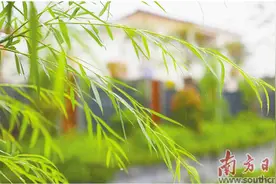 春天在哪里图片