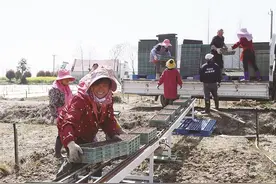 不负农时不负春图片