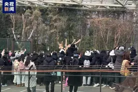 “福宝”回国前最后一个公众展出日 数千韩国民众送别图片