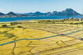 生态式种田 呵护饮用水源图片