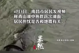 鱼群跃出湖面居民怀疑与地震有关，官方：系进水口处鱼群逆流 以前也有此现象图片
