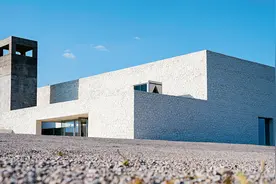 宁夏贺兰：“葡萄酒产业+”擦亮“紫色名片”图片