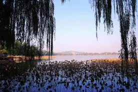 风景正当好！颐和园最近可以这样逛（附路线图）图片