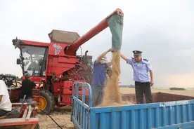 新蔡警察护农在“三夏”麦收一线图片