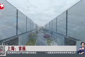 上海：首座人形机器人工厂实现商用量产视频封面