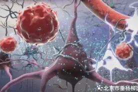 【垂医科普】血液科（肿瘤内科）：自体造血干细胞移植，您了解吗？图片