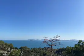 她十年不上班，换取面朝大海的“自由”图片