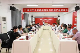 辣条创新带动产业升级，麻辣王子通过专家鉴评图片