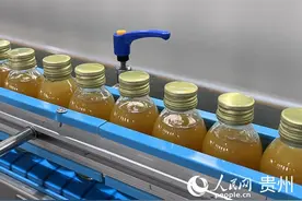 安顺经开区：向“新”而行 为“产”聚力图片