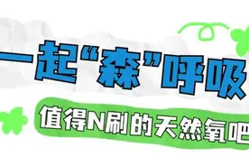 运动遛娃赏花露营！在佛山，实现躺“坪”自由图片