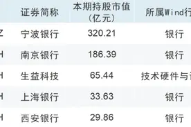 为外资长期配置提供更优选择，A股QFII持仓动向曝光！图片