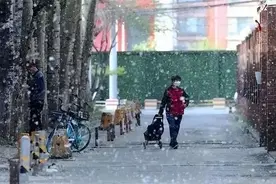 紧急提醒！花粉过敏季马上来袭，提前一周用药可大幅缓解症状图片