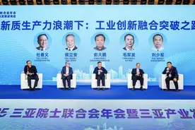 2025三亚院士联合会年会暨三亚产业发展咨询会举行 48位院士共探科技创新与产业升级图片