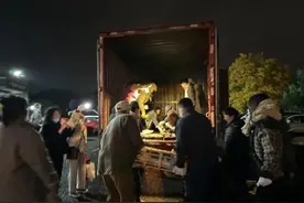 近1000只猫咪被警方拦截救下，等待领养！最新进展图片