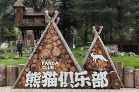 大熊猫国家公园平武王朗片区自然探秘体验28日开启  访客需提前网络预约图片