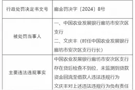 中国农业发展银行廊坊市安次区支行被罚30万元：未监测到贷款资金回流至借款人违法违规行为图片