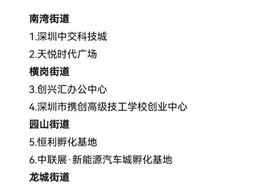 区级创业孵化基地，深圳龙岗坪地+1！图片