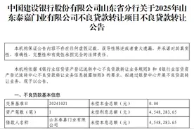 山东建行1.5折甩卖2笔已核销坏账，逾期天数均已超7年图片