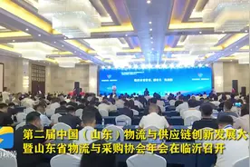 第二届中国（山东）物流与供应链创新发展大会在临沂召开图片