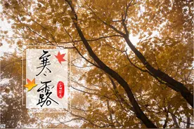 国庆假期后感冒、咳嗽、呕吐、腹泻怎么办？中疾控回应图片