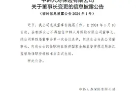 何欣当选中韩人寿董事长图片