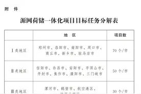 加快推进源网荷储一体化！河南发文→图片