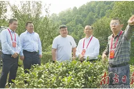 积极履职尽责 助推乡村振兴图片