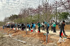 汕头市环境保护协会林“落户”潮阳贵屿图片