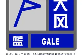 大风+雷电！上海一蓝一黄预警高挂图片