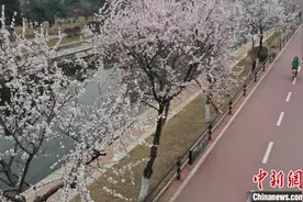 沈阳：赏“桃花盛开的地方”图片