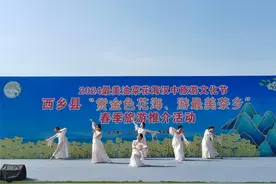2024最美油菜花海汉中旅游文化节西乡分会场活动启动图片