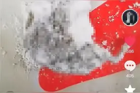 知名婴童品牌面粉中发现老鼠？官方已介入，品牌紧急回应！图片