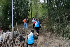 广东筑牢森林“防火墙”：科技赋能、全民参与、实战演练“三管齐下”图片