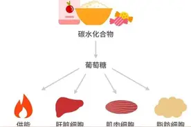 碳水化合物 也要挑着吃图片