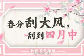 春风正盛！春分时节刮大风 真的一直刮到四月中吗？图片