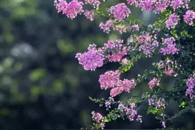 青未了｜喜欢自己，比喜欢世界更重要图片