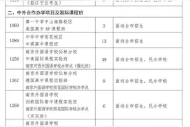 十三中台城、南外仙林……南京市2024年中招第一批次征求志愿计划出炉图片