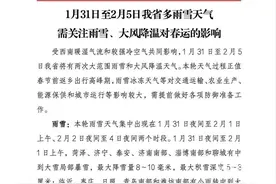 局部大暴雪+零下10℃+10级北风！山东1月31日至2月5日多雨雪天气图片
