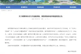 事关汽车报废更新、置换更新，潍坊发布公告图片