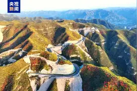航拍太行一号旅游公路 打卡“醉”美红叶图片