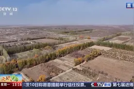 骆驼刺、沙拐枣……和朱广权一起认识沙漠里的神奇植物→图片