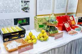 百家旅行社进乡村！广州黄埔发布五色精品旅游线路图片