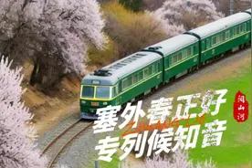 4月银发专列错峰游新疆！长沙直达南北疆杏花专列15日游，淡季特价！图片