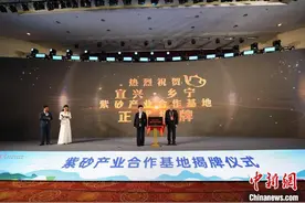 山西乡宁到江苏宜兴赴紫砂之约 两地交融谋区域合作新机图片