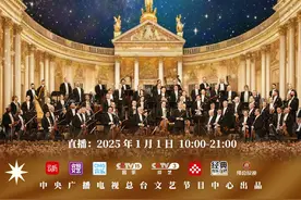 维也纳新年音乐会倒计时！大戏即将上演！图片