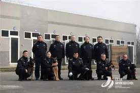 《我是刑警》邂逅江津警犬   现实版的“犬”力出击图片