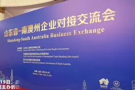山东-南澳州企业对接交流会成功举办图片